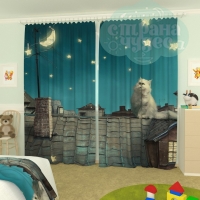 Фотошторы для детской комнаты "Кот на крыше"